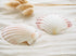 deep scallop shells